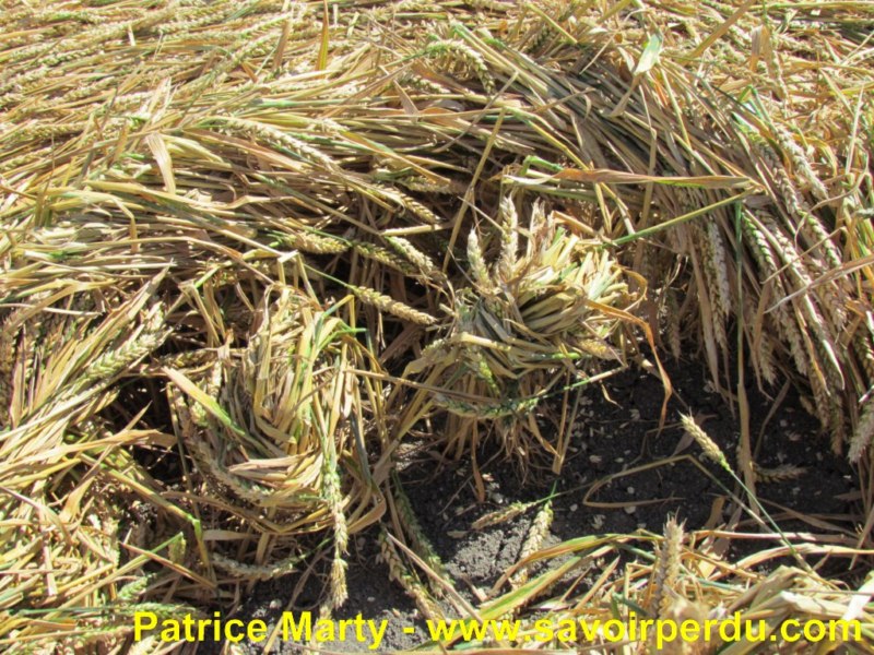 Etchilhampton (2), Wiltshire crop circle, aerial photo 64